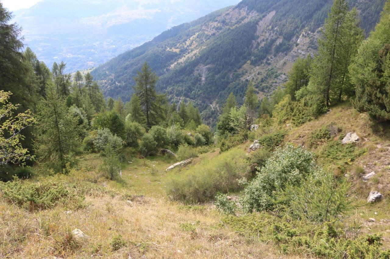 Appartement Au Depart Des Remontees Mecaniques - Briancon Екстериор снимка